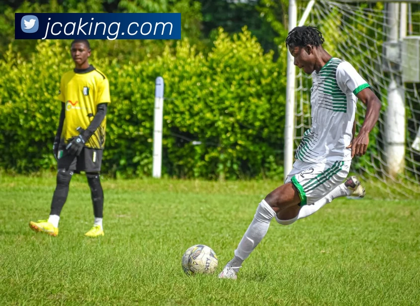 金彩娱乐官网服务体系